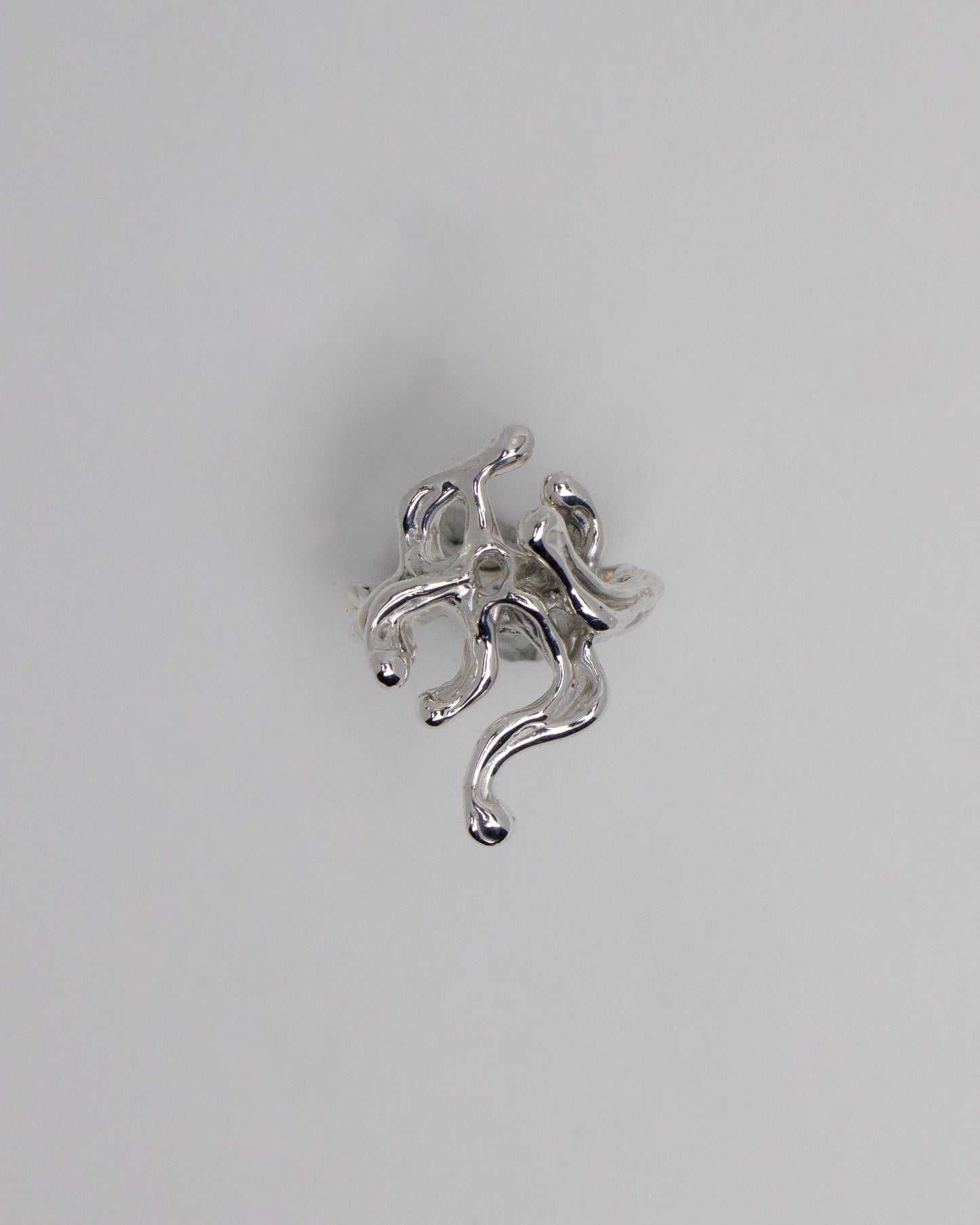 NEREID 02
