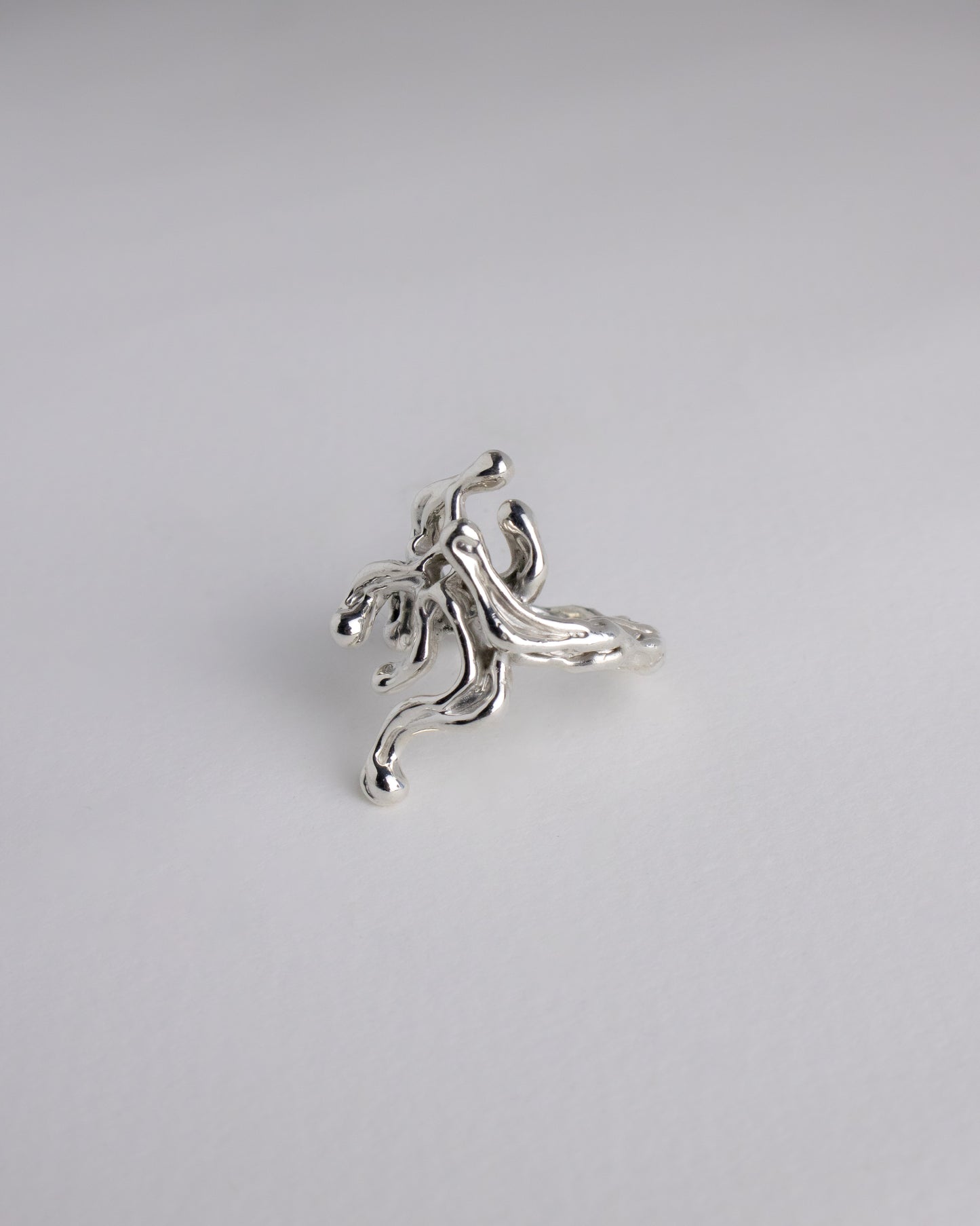 NEREID 02